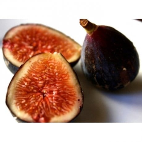 Fig Mrs Williams (Fig)