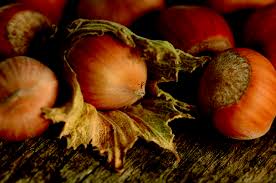 Hazelnut Barcelona (Hazelnut)