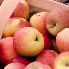 Apple Fuji (Apple)