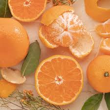 Mandarin Kawano Dwarf (Satsuma)